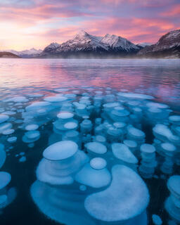 Photographing Winter Wonderland
