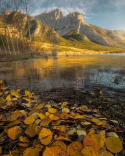 Are You Ready For Autumn?