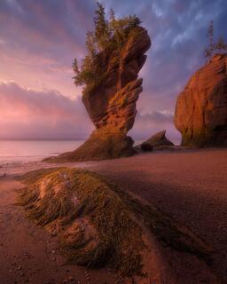 The Extreme Tides of Bay Of Fundy