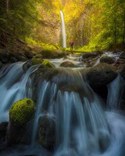 Gems of Pacific North West