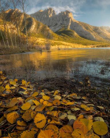 Are You Ready For Autumn?