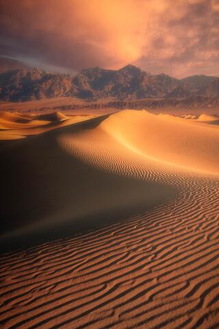 Arid Beauty