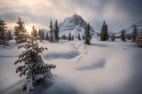 Pristine