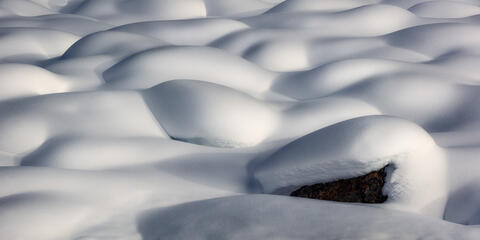 Marshmallow Heaven