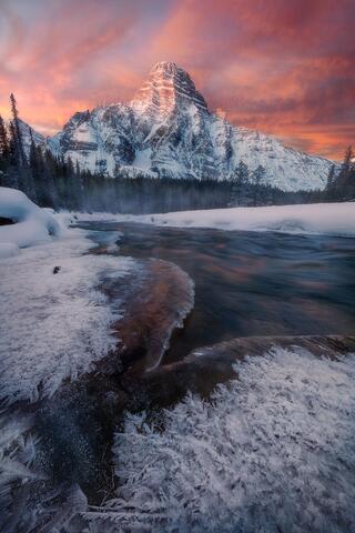 Reign of Ice