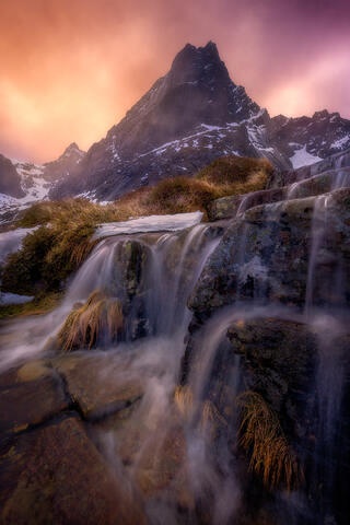 Land of the Immortal