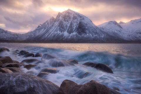 Ocean's Heartbeat