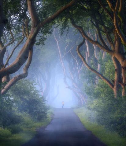 Alley of Mystification