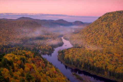 Pastel Splendour