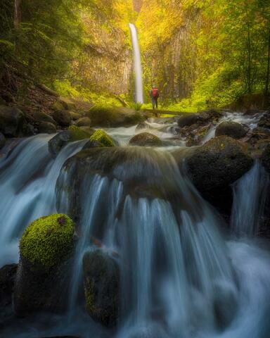 Gems of Pacific North West