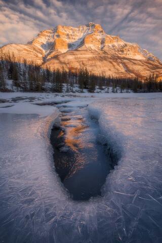 Made of Fire and Ice