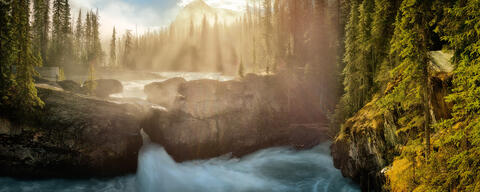 Force of Nature
