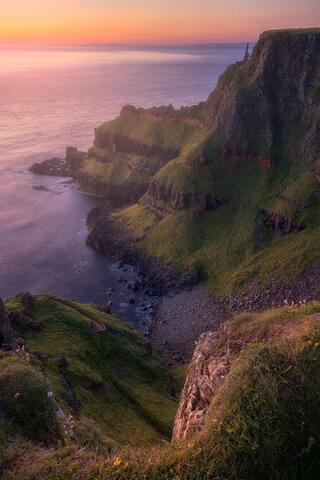 Dusk Beauty
