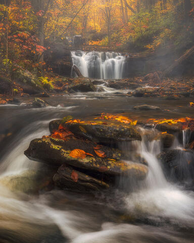 Anatomy of a Waterfall