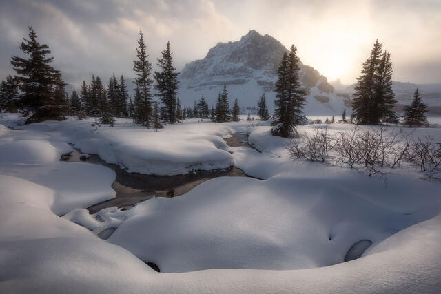 Mother Nature's Grace print