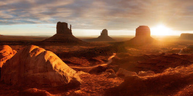 The View print