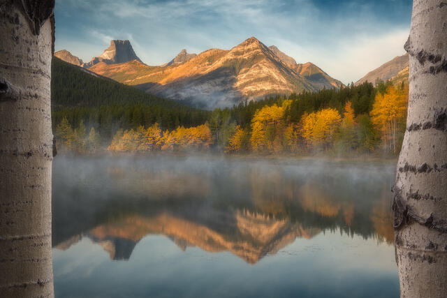 Enchanted Morning print