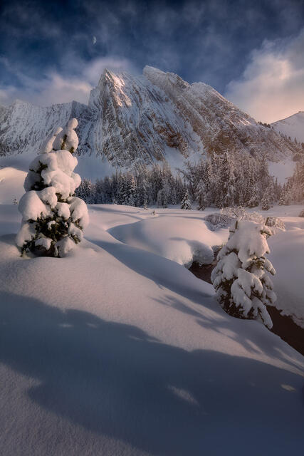 Winter Wonderland print
