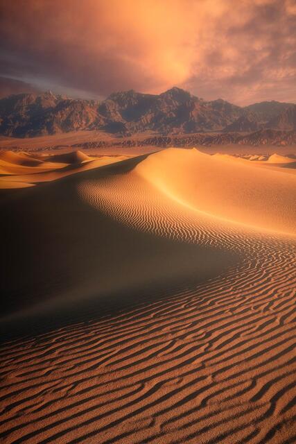 Arid Beauty print