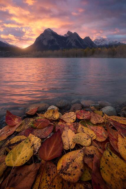 Autumn Hues print