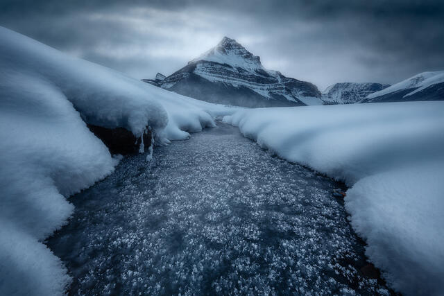 Be Cold print