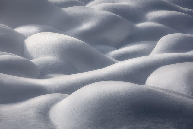 Snow Pillows print