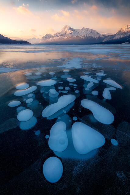 Icebound print