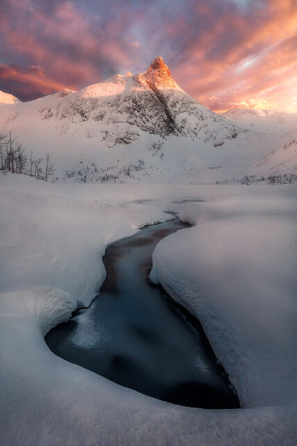 Near Dusk Experience print