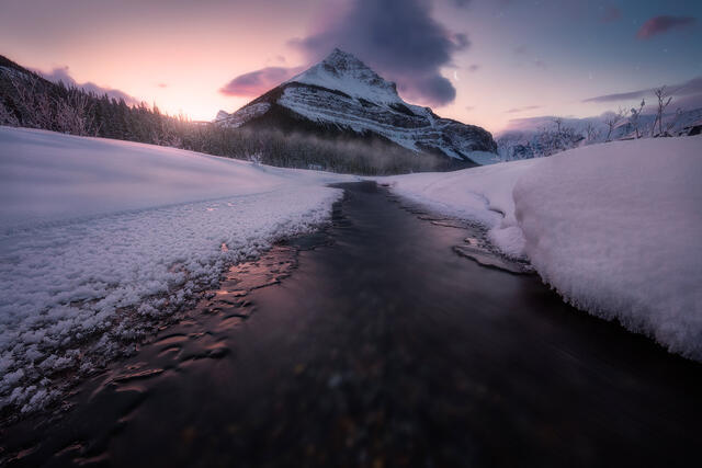 Serenity print