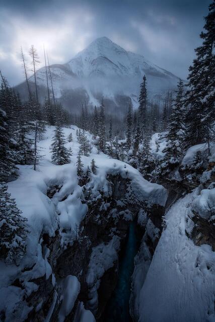 The Sound of Silence print