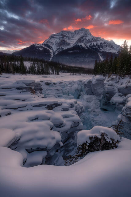 Quietude print