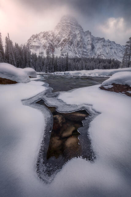 Glamorous print
