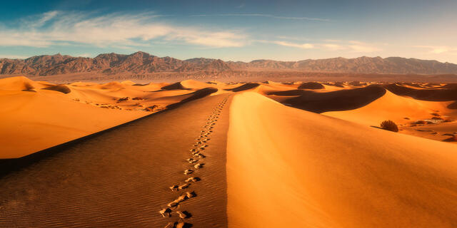 The Path print