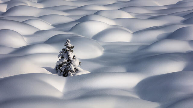 Solitude print
