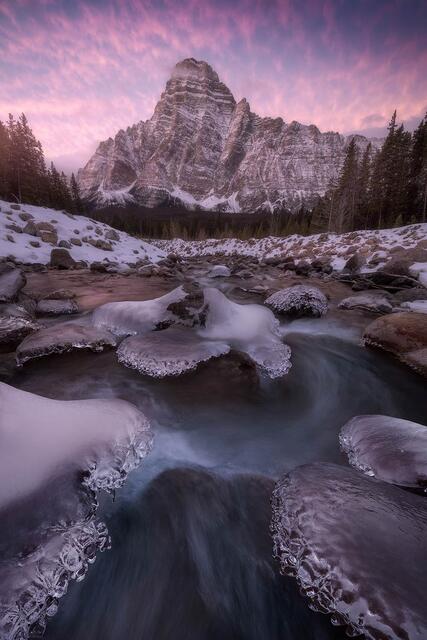 Ephemeral Instant print