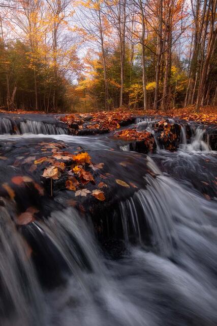 Autumn Vibe print