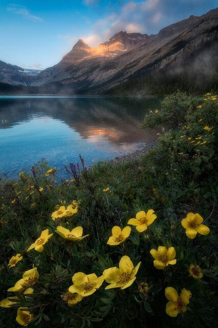 Dreamful Memories print