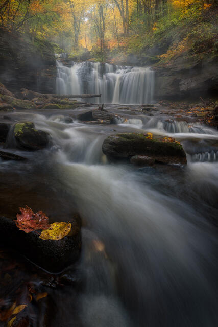 Dreaming of Autumn print