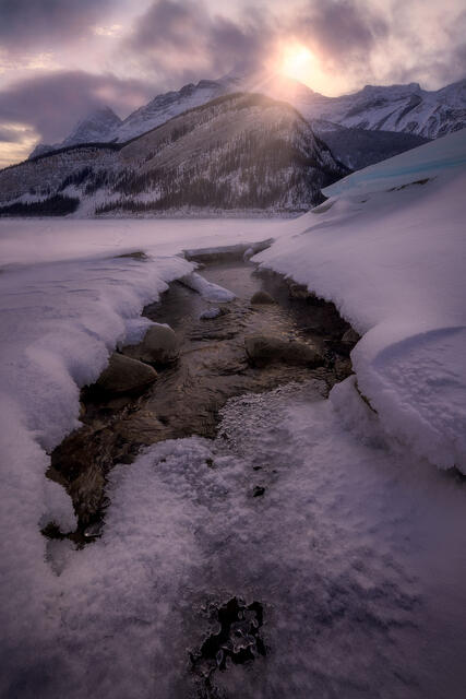 Divine Light print