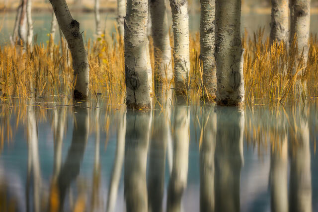 ...Got My Feet Wet! print