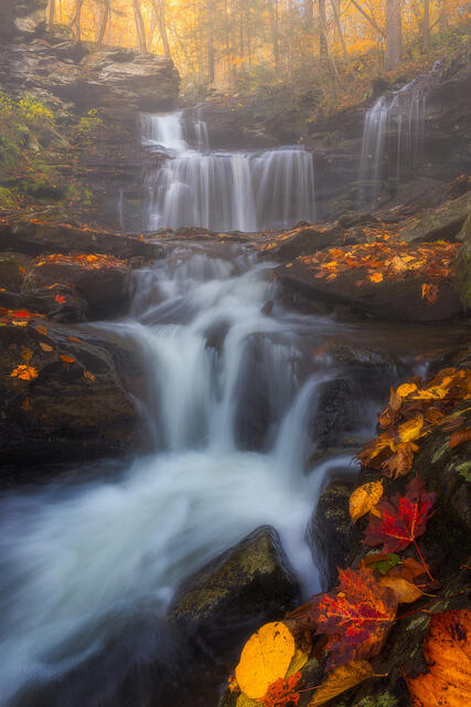 The Smell of Autumn print