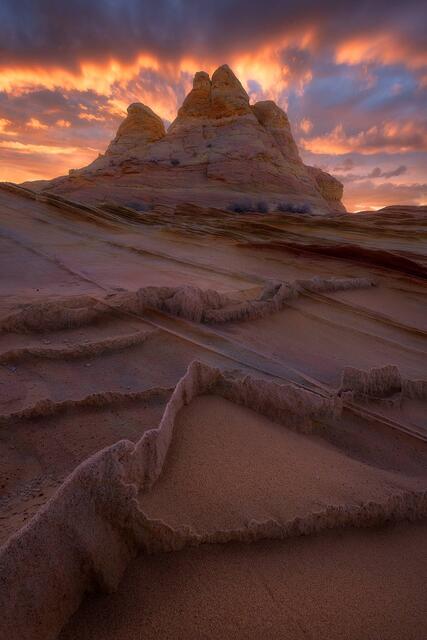 Sandstone Fins print