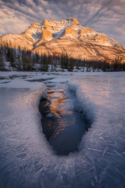 Made of Fire and Ice print