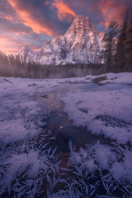 Ice Ice Baby print