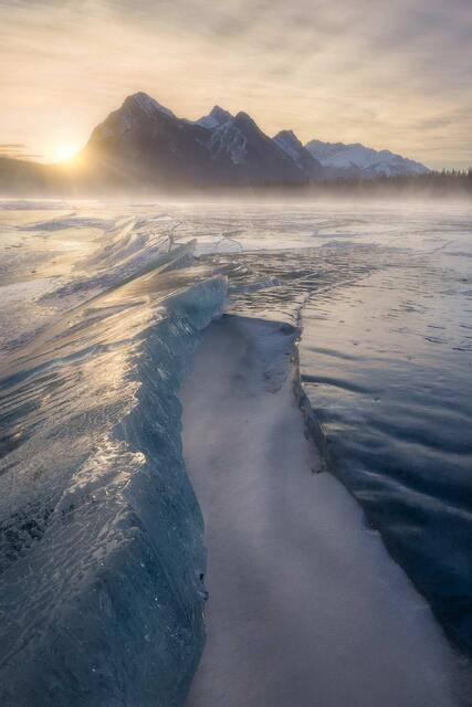Chill Factor print