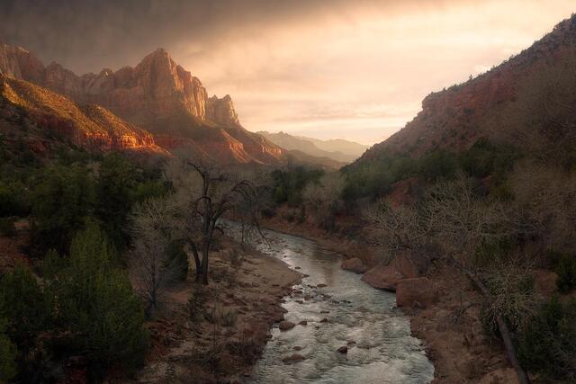 The Watchman print