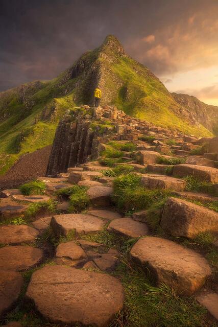 In Absolute Awe print
