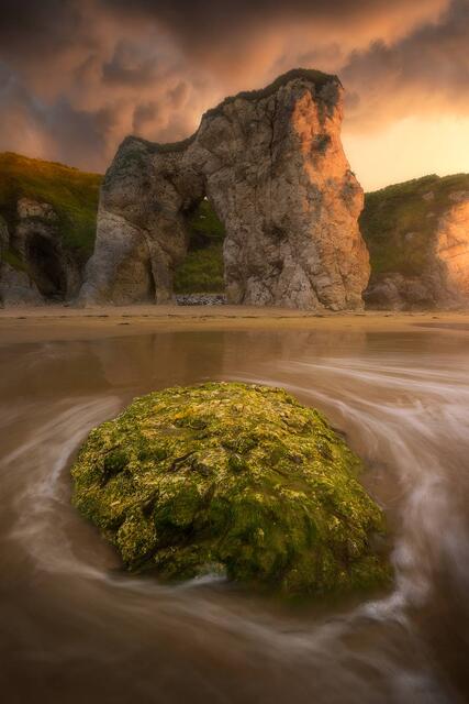 Limestone Throne print