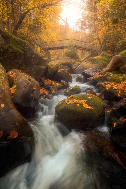 Cascading Beauty print