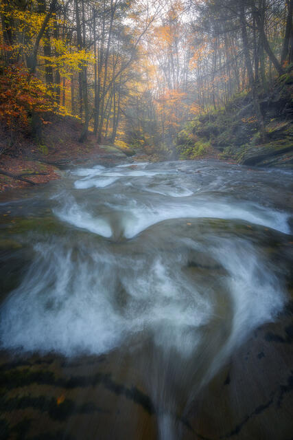 Downstream Flow print